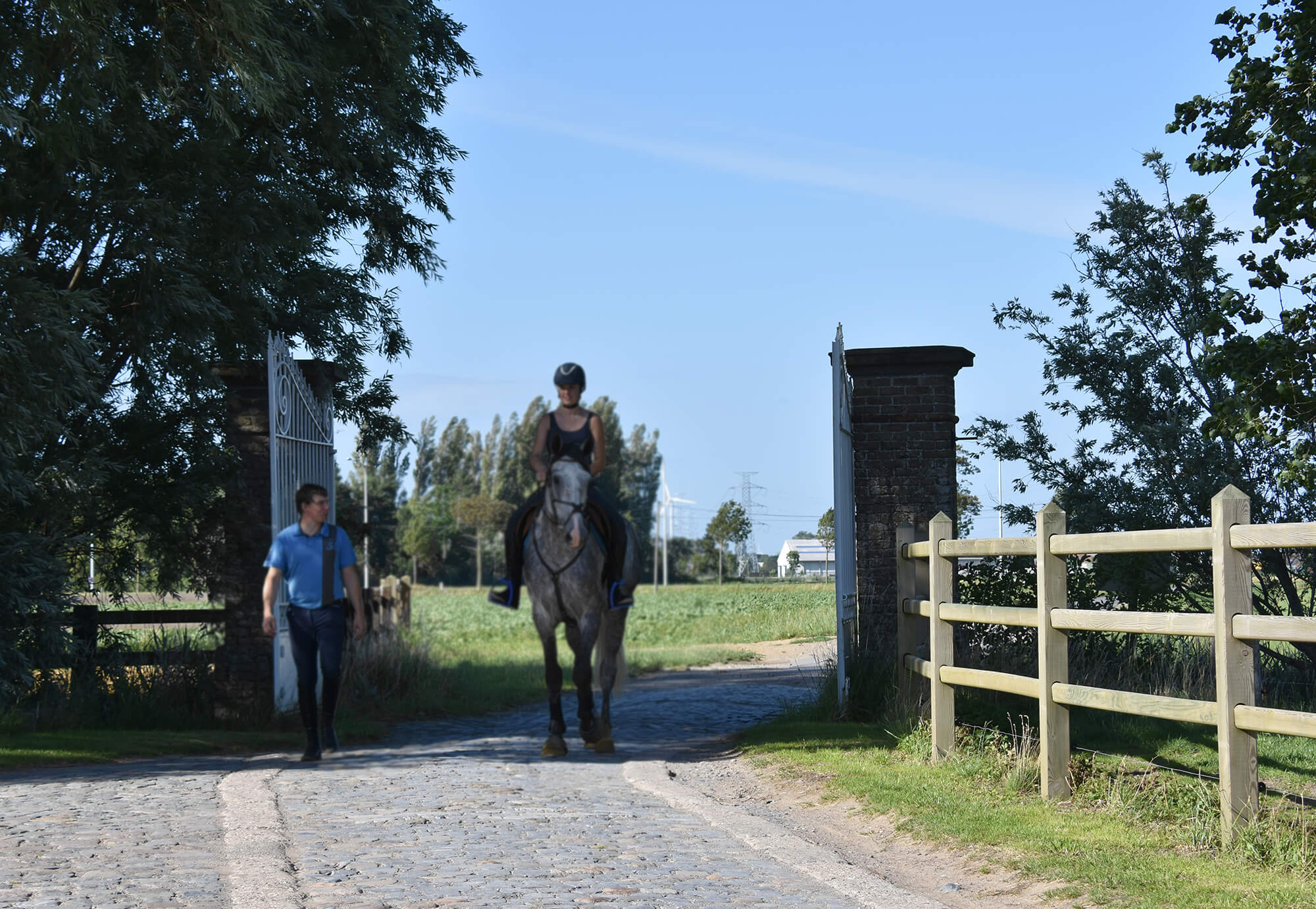 Image Hoeve De Hemel | Ferme classée avec pension pour chevaux de luxe