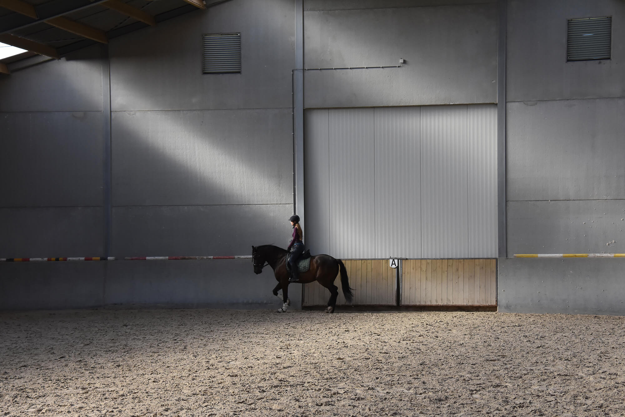 Image Hoeve De Hemel | Ferme classée avec pension pour chevaux de luxe
