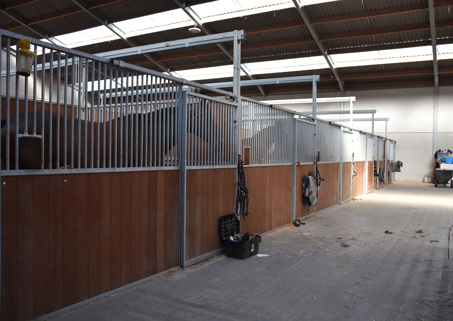 Image Hoeve De Hemel | Ferme classée avec pension pour chevaux de luxe